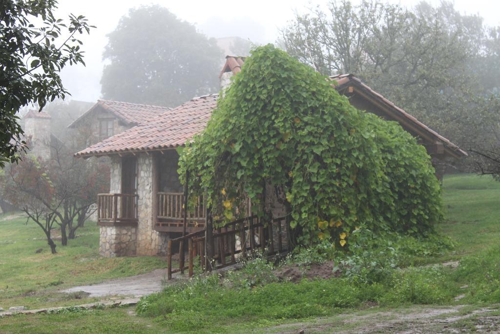 Вилла La Tierra Grande Сакатлан Номер фото